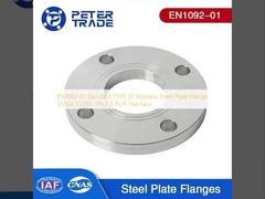 EN1092-01 Tipo estándar 01 Flange de placas de acero inoxidable SS304 SS316L PN 2.5 PLFF Caras planas